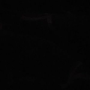 Meet your Posher, Ant